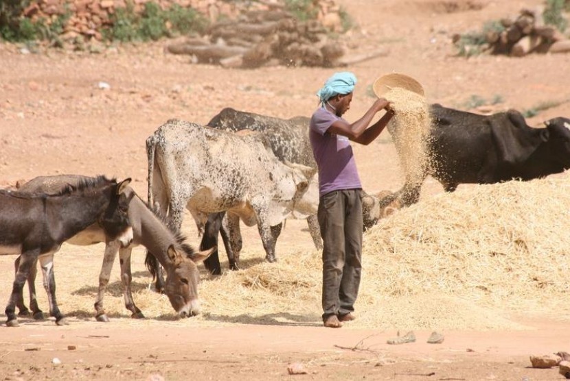 0.16571300-1565272745-49025394_304.jpg