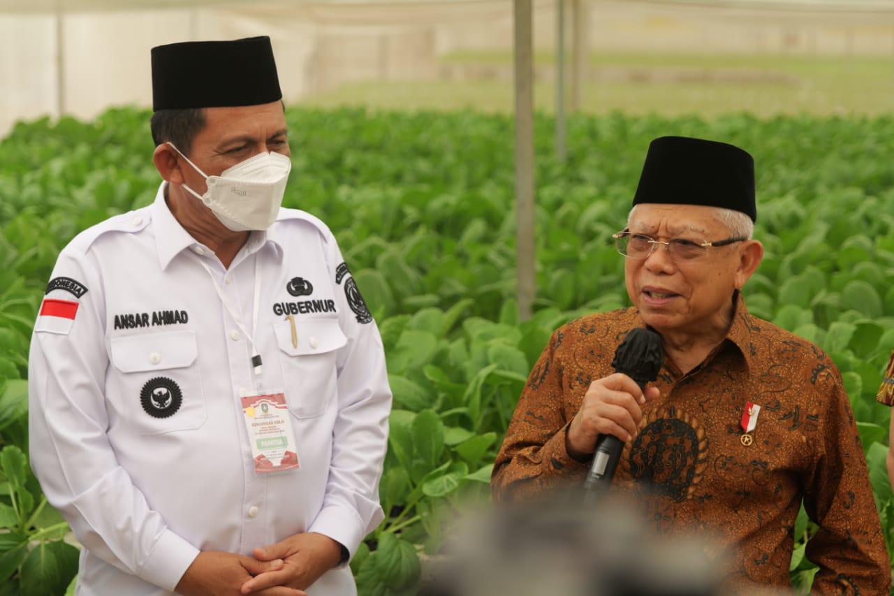 Wakil Presiden RI Dan Gubernur Kepri Meninjau Pusat Pertanian Modern Di ...