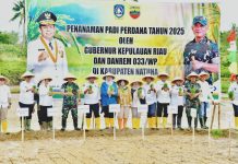 Tanam Perdana Padi di Natuna, Pemprov Kepri Perkuat Ketahanan Pangan