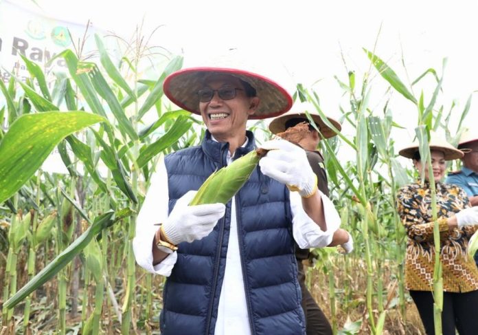 527543180_1209186291241906_1070327831391671562_n