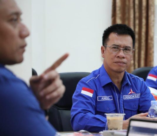 Aneng dan Jalan yang Belum Selesai di Demokrat Kepri