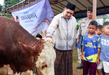 Bupati Bintan Serahkan Sapi Kurban Kemasyarakatan Presiden Prabowo