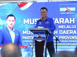 AHY Apresiasi Kepemimpinan Aneng Jaga Soliditas Demokrat Kepri