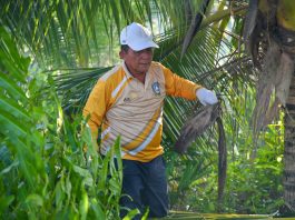 Ansar Pimpin Gotong Royong di Pulau Penyengat