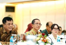 Kinerja BP Batam Tuai Apresiasi Banggar DPR RI