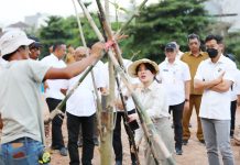 Giat Tanam Pohon, Li Claudia Awali Penataan DAS Baloi Indah Jadi Taman Kota