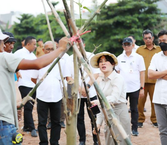 Giat Tanam Pohon, Li Claudia Awali Penataan DAS Baloi Indah Jadi Taman Kota