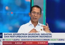 Batam Kian Dilirik Investor, Amsakar Ungkap Kunci Lonjakan Investasi