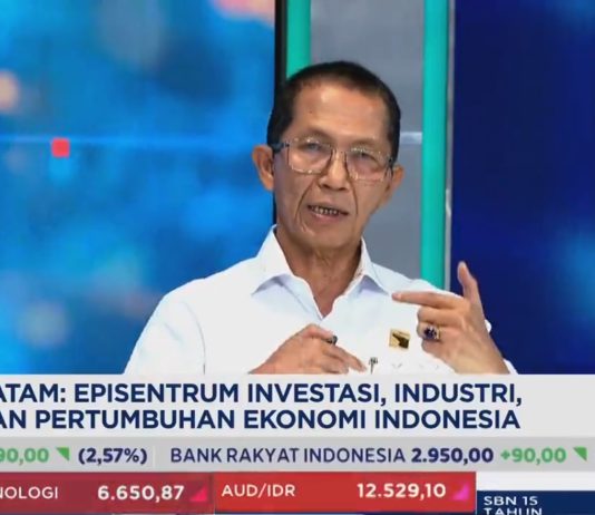 Batam Kian Dilirik Investor, Amsakar Ungkap Kunci Lonjakan Investasi