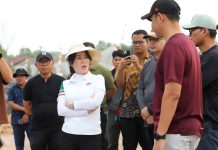 Li Claudia Tinjau Drainase dan PJU, Penanganan Banjir hingga Penerangan Jalan Digesa