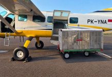 Jaga Ketersediaan Air Baku Batam, BP Batam Siapkan Operasi Modifikasi Cuaca