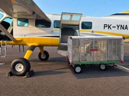 Jaga Ketersediaan Air Baku Batam, BP Batam Siapkan Operasi Modifikasi Cuaca
