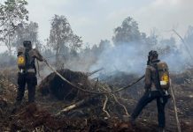 Provinsi Riau Zero Karhutla, Satgas Tetap Siaga