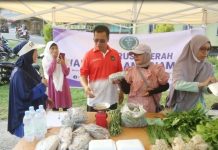 Aneng Ikuti Senam dan Jalan Santai Pada MEB Day